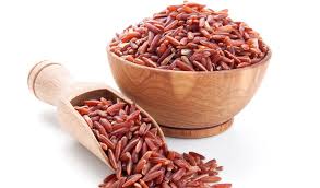 thức ăn giả cân vào mùa hè gao luc.jpg (8 KB)